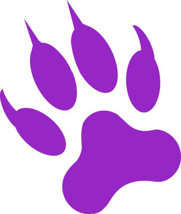 Free Vector Graphic - Purple Panther Paw Print (610x720), Png Download