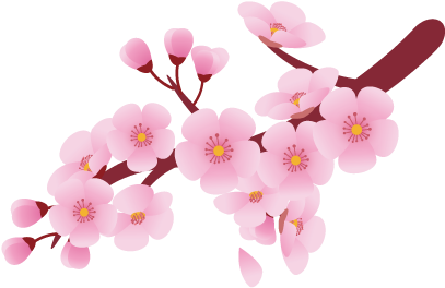 Cherry Blossom Flower Clip Art - Cherry Blossom Clip Art Flower (600x600), Png Download