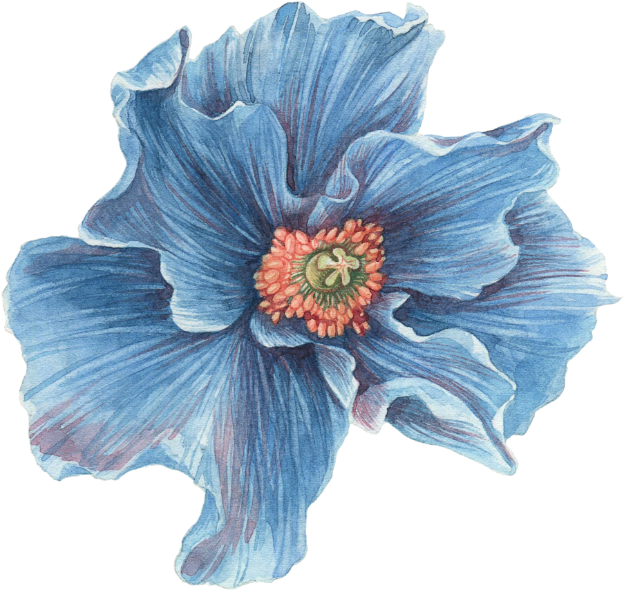 Dusty Blue Wedding Invitations (963x1024), Png Download