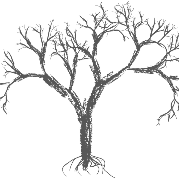 Bare Crayon Drawing Tree Wall Decal Easy Decals - Brush Photoshop Naked Tree (680x680), Png Download