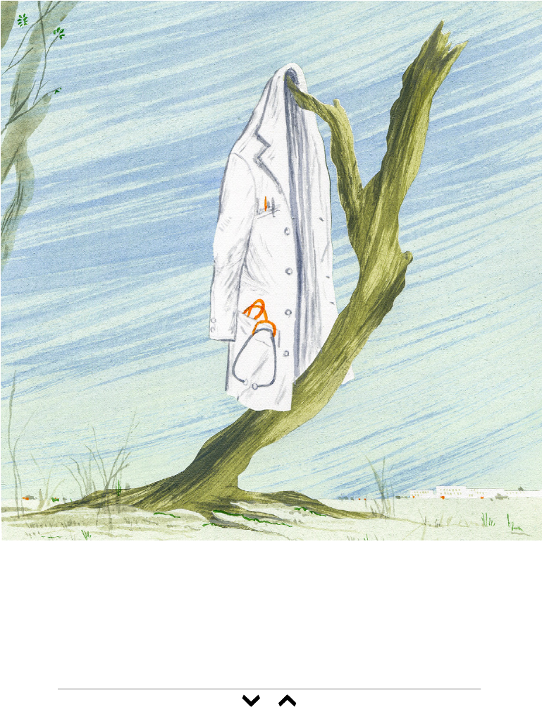 Slide Show Overlay - Physician (768x1024), Png Download