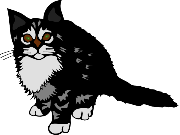 Kitten Black Svg Clip Arts 600 X 450 Px (600x450), Png Download