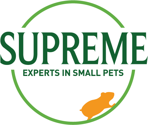 Supreme-logo - Illustration (800x600), Png Download