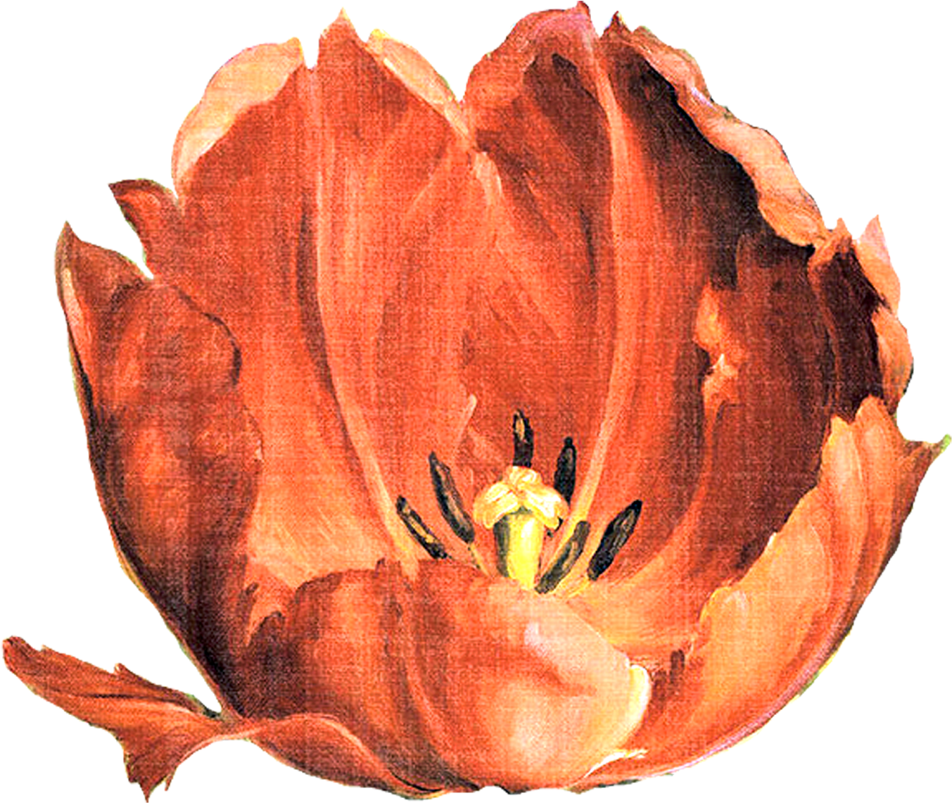 Yüksek Çözünürlüklü Dekupaj Resimleri,sanatsal Dekupaj - Icanvas Tulip Paisley Gallery Wrapped Canvas Art Print (1600x1414), Png Download