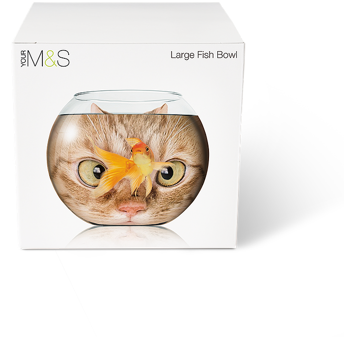 Paul Skeffington Senior Art Director - Kitten (884x884), Png Download