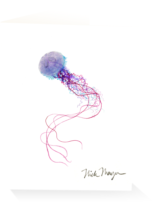 Purple Jellyfish - Sketch (1024x825), Png Download