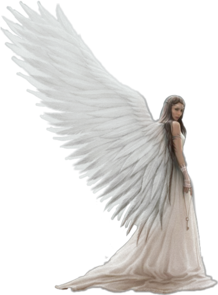 Schalo Orthodontics (1024x1024), Png Download