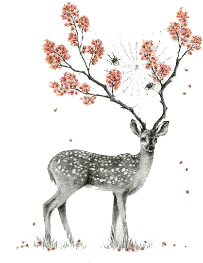 Afbeeldingsresultaat Voor Tumblr Drawing Deer - Drawing Deer (490x605), Png Download
