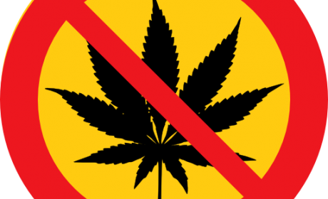 No Marijuana - Weed Black And White (460x280), Png Download
