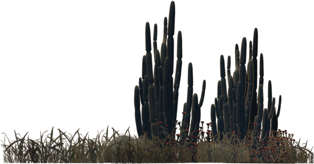 Desert Bushes Png - Desert Cactus Png (1024x639), Png Download