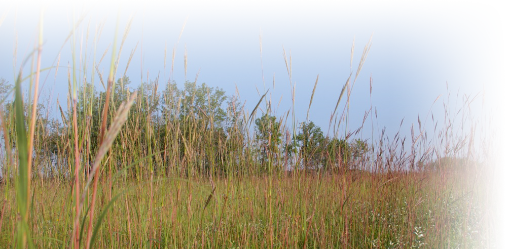 Community (1000x492), Png Download