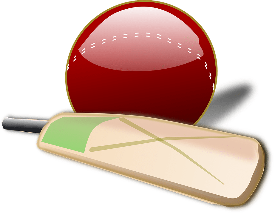 Cricket Bat Png Large - Cricket Png (640x499), Png Download