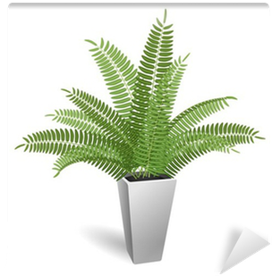 Fern In A Pot - Planta Ornamental Helechos (400x400), Png Download