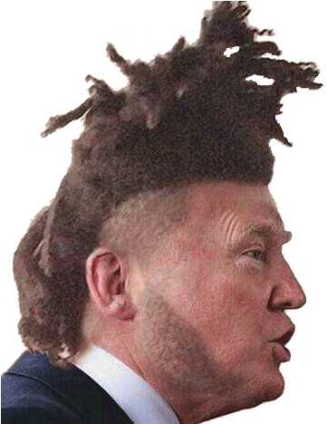 Pnget - Trump With An Afro (480x467), Png Download