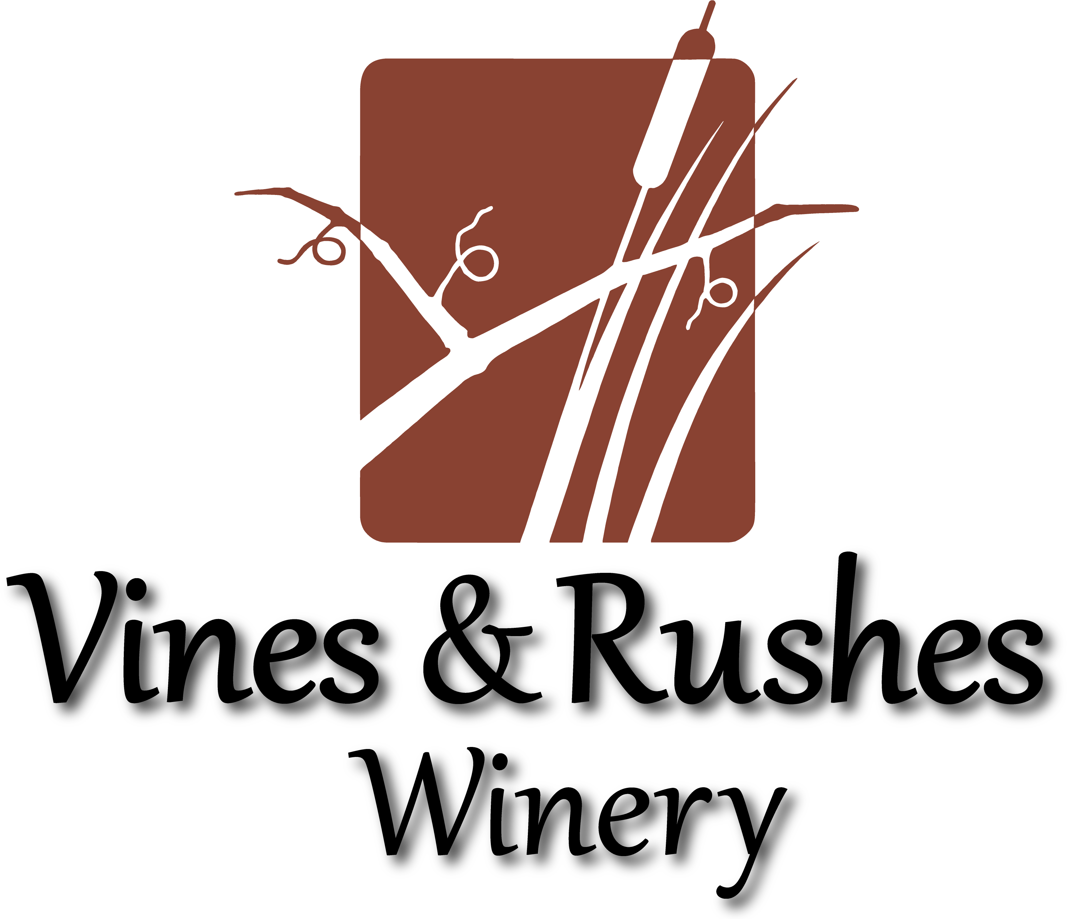 Logo And Name Below, Png, Color - Graphic Design (3669x3150), Png Download