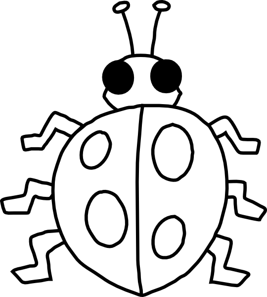 Clip Art Transparent Stock Bugs Drawing Outline - Insect Clipart Black And White (540x599), Png Download