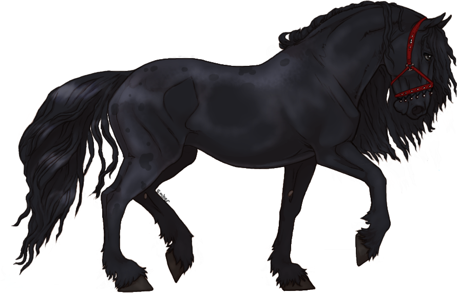 Ｎａｍｅ ；； Wherever You Go, I Go "mikasa Acherman" Ｂｒｅｅｄ - Grullo Color Through Age (900x600), Png Download