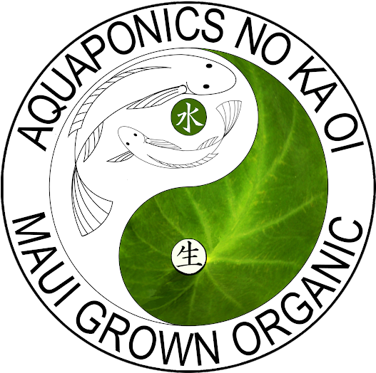 Photo - Circle (530x530), Png Download