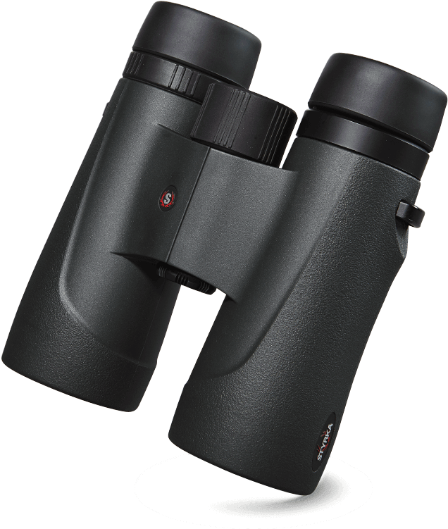 Binoculars (640x776), Png Download