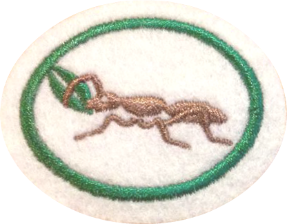 Ants - Emblem (416x324), Png Download