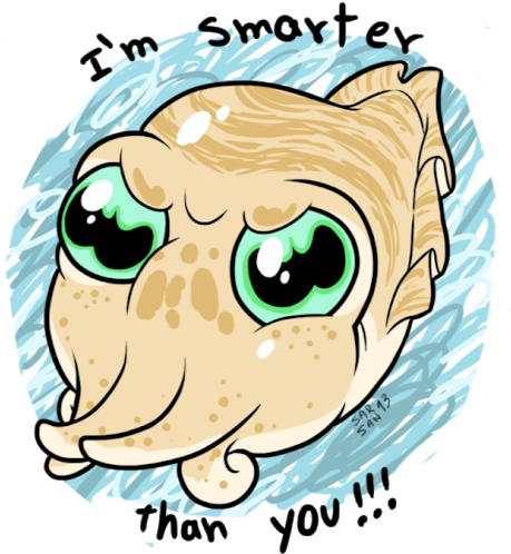 Photo - Squid As Food (530x529), Png Download