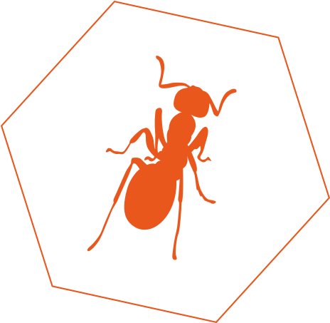 Ant Control - Ant (500x500), Png Download
