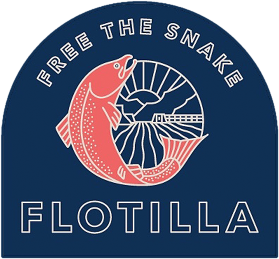 Free The Snake Join The Flotilla - Blog (1230x1078), Png Download