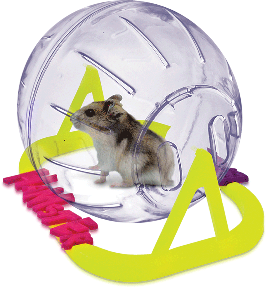 Esfera Hamster Ball Small 13cm De Diametro - Hamster (1112x1112), Png Download