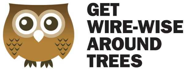Get Wire Wise - Tree (600x235), Png Download