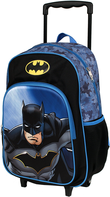 Trolley Case (729x800), Png Download