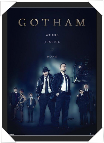 #340 - Gotham Season 3 Ep 20 (500x500), Png Download