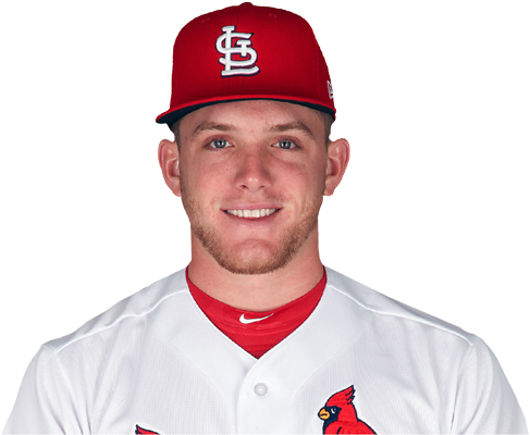 Brendan Harris (600x436), Png Download