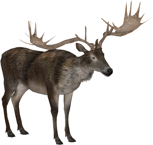 Irish Elk 2 Adult M2 - Zt2 Irish Elk (635x635), Png Download