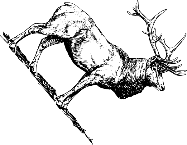 Small - Elk Design Shower Curtain (600x467), Png Download