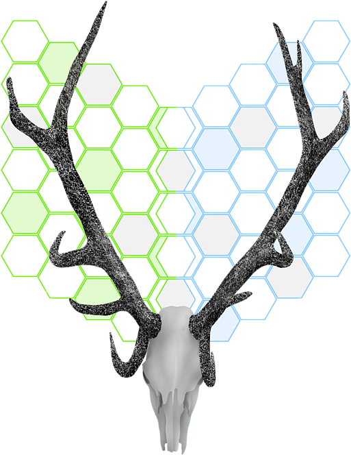 Transparent Library Honeycomb Pattern Kids T - Antler (538x699), Png Download