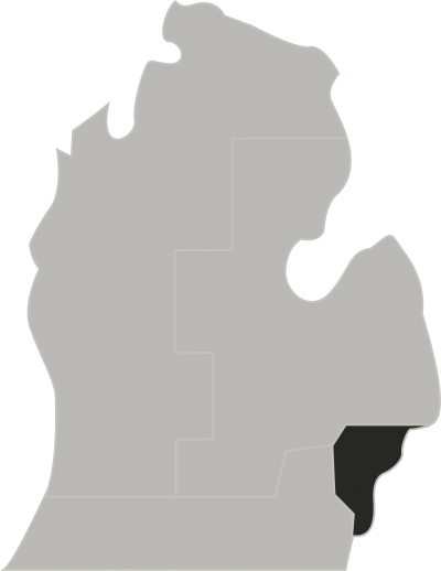 About Great Lakes Fsc - Map Of Michigan Silhouette (400x518), Png Download