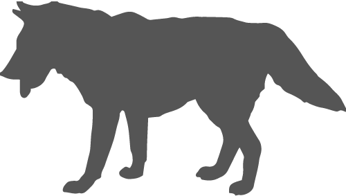 Part Wolf, Part Coyote, The Coywolf Is An Intriguing - Canada Animals Png (500x283), Png Download