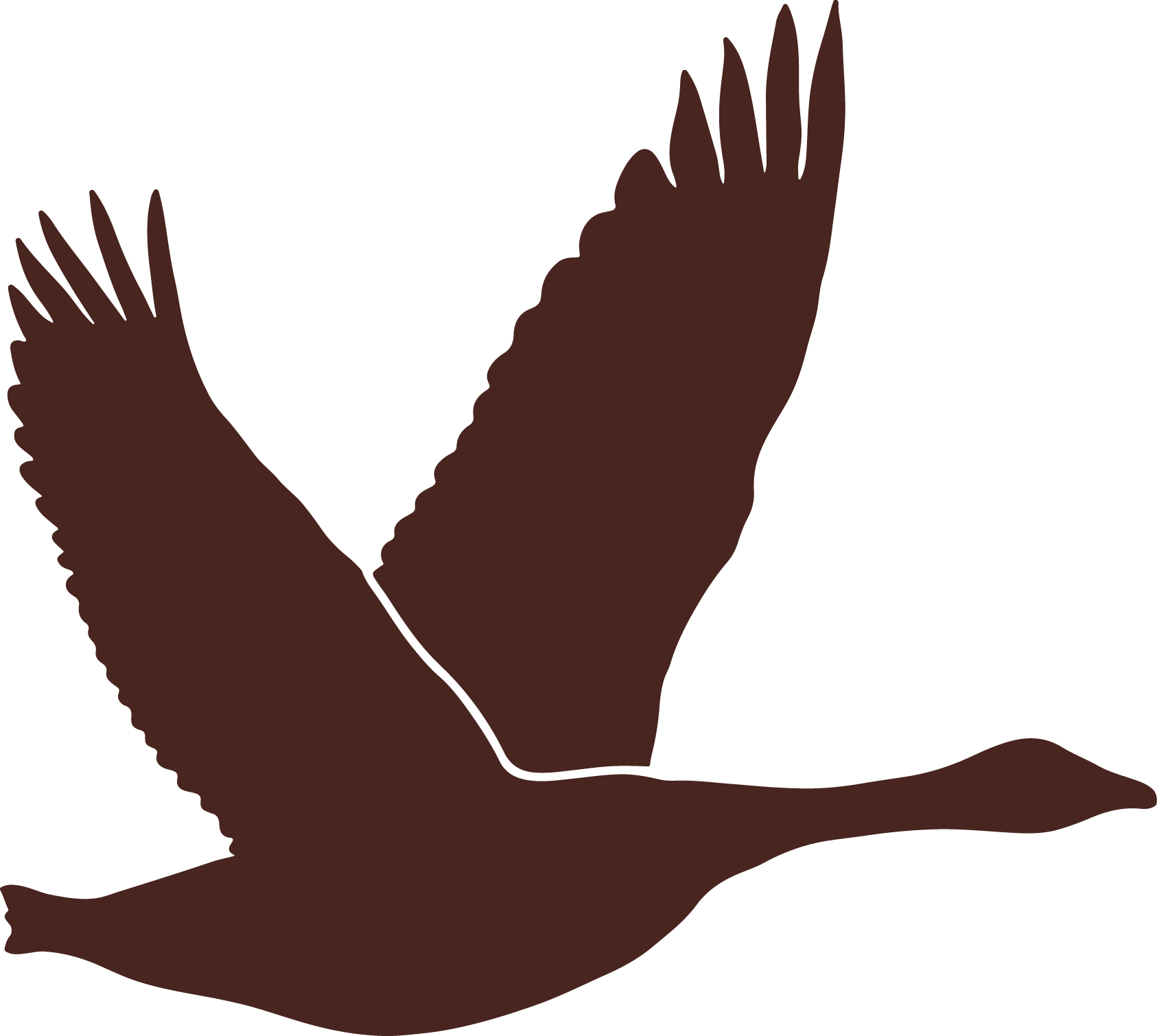 Bear Brown Silhouette Of A Canadian Goose - Canada Goose (1686x1510), Png Download