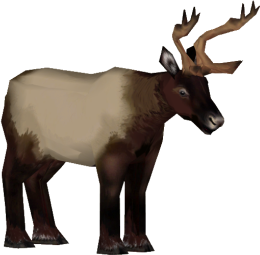 Roosevelt Elk F - Reindeer (559x559), Png Download