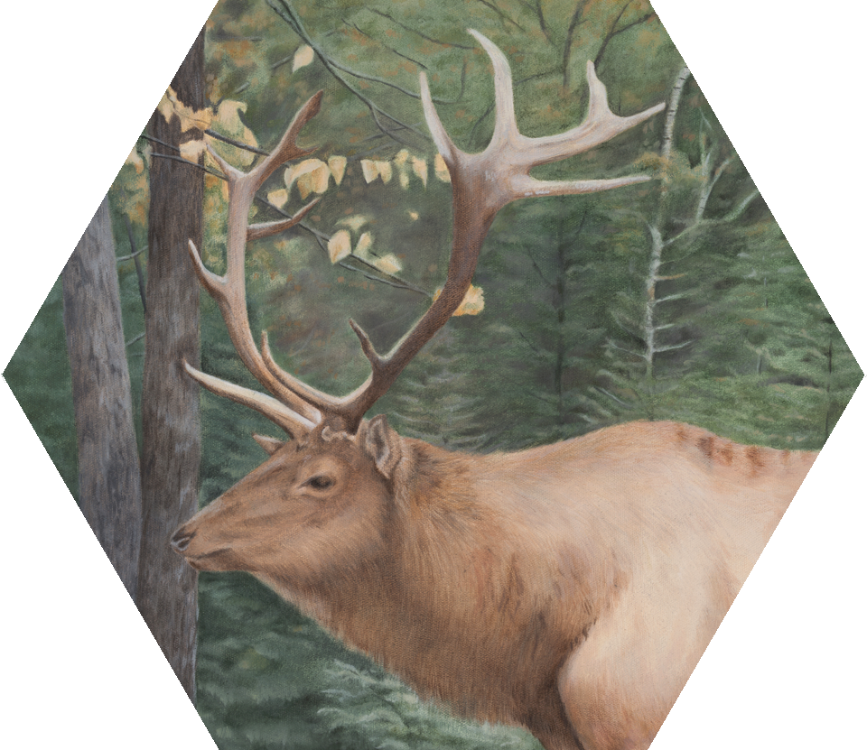 Elk - Portable Network Graphics (960x831), Png Download
