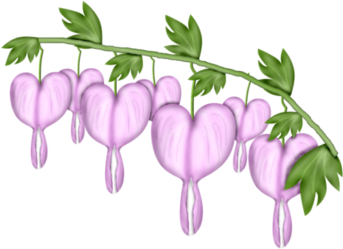 Flower-02 - Pacific Bleeding Heart (500x500), Png Download
