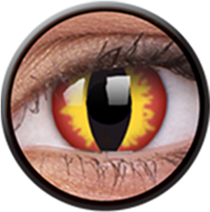 Contact Lenses (510x510), Png Download