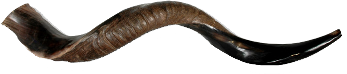 Yemenite Shofar - Shofar Png (700x393), Png Download