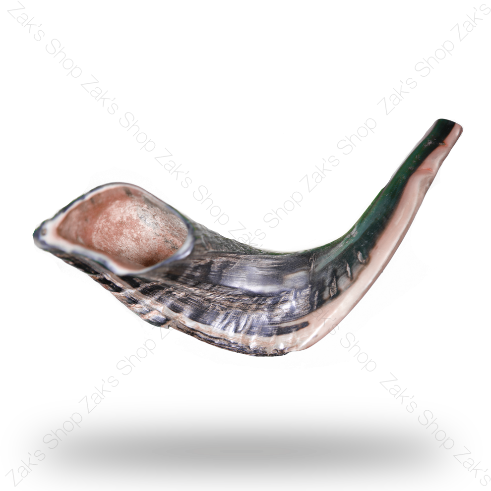 Shofar Horn Png - Library (1000x1000), Png Download