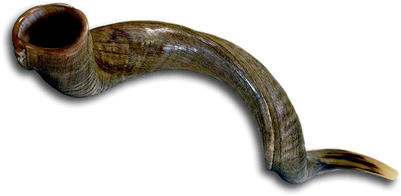 Png Icon Shofar Horn With Oil Graphic Stock - Shofar (600x297), Png Download