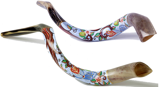 Back To Top ^ - Shofars (570x312), Png Download