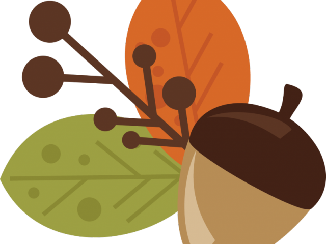 Acorn Clipart Apple - Transparent Background Acorn Clipart (640x480), Png Download