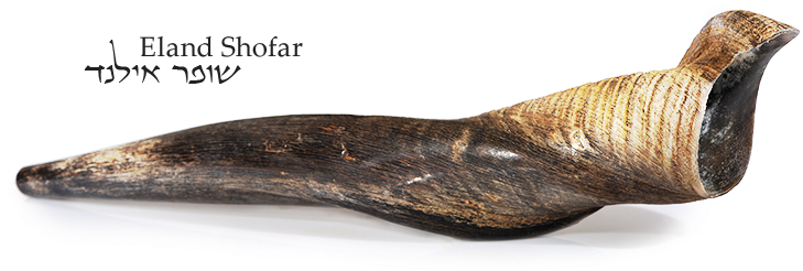 1 - Driftwood (960x256), Png Download