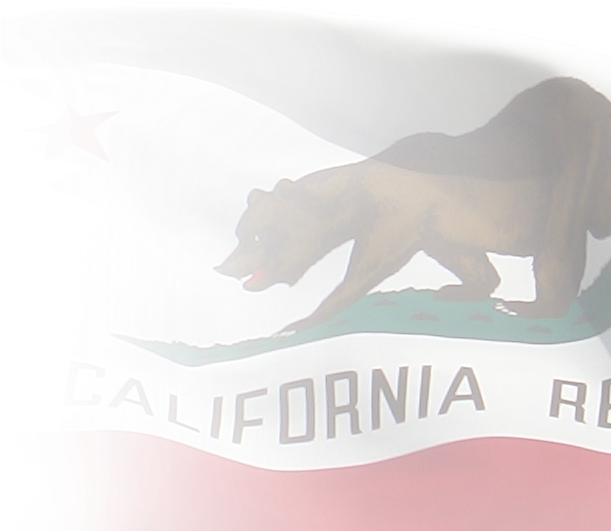 California State Library Png - California Flag Transparent Background (677x530), Png Download