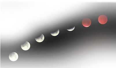 Preview Overlay - Macro Photography (400x400), Png Download